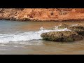 الشاطئ الأحمر plage rouge en 4k من أجمل الشواطئ المغربية 🤩🤩🤩🤩