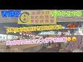 【生活泰導】香港仔 | 魚類批發市場情況 | 估唔到神秘又美麗 | 好多古靈精怪野賣 | (Walk Walk Talk Talk)