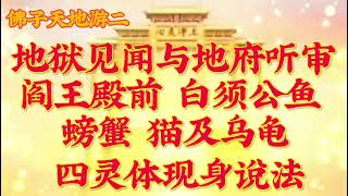 佛子天地游二：地狱见闻与地府听审：阎王殿前，白须公鱼、螃蟹、猫及乌龟四灵体现身说法