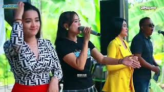 FULL ALBUM BCB MUSIC | DJ PLUS   | LIVE BANYURIP SURU