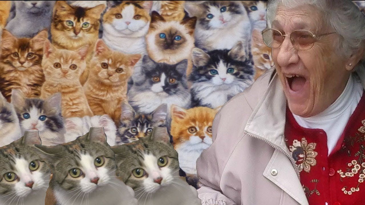 60 Cats For Your Grandma Youtube
