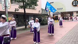 11/17 四日市よさこい祭り ふれあいモール会場 伊勢よさこい連清流