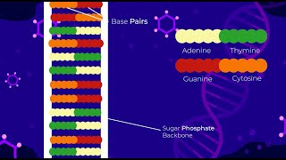 Storing Data in DNA Nanostructures