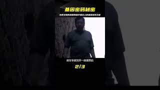 古墓挖出伏羲女媧肖尾圖，揭開中國古人研究基因密碼的秘密！ #古董 #開棺 #古墓 #考古發現 #考古