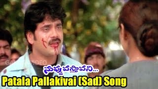Nuvvu Vasthavani Songs - Patala Pallakivai (Sad) - Akkineni Nagarjuna, Simran Bagga - Ganesh Videos