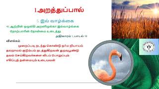 குறள் 48 -  அதிகாரம் - 5  திருக்குறள் - தினம் ஒரு திருக்குறள் 48 - 29/02/2024 /kural 48