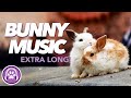 EXTRA LONG Relaxing Music for Rabbits - Soothing Bunny Beats