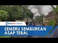 VIRAL VIDEO Warga Panik Akibat Muncul Kepulan Asap Gunung Semeru, Bukan Meletus, Ini Penjelasannya