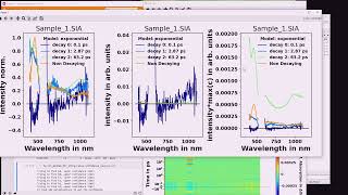 KiMoPack video 3 - Raw plotting and simple fit