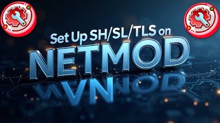 Set Up SSH/SSL/TLS Server on Netmod VPN for Fast and Secure Browsing!