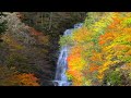 nature sounds series ❸ waterfall sounds karasawa falls injapan