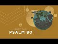 Psalm 80 | God the Gardener | Bible Study