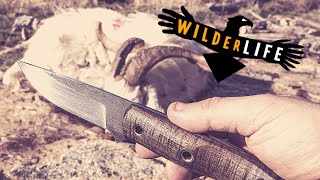 Hunting and Skinning Goats in the Mountains - Seeker Knives