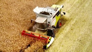 ŻNIWA 2024 || Claas Trion 640 & Arion 650 /Vlog ヅ