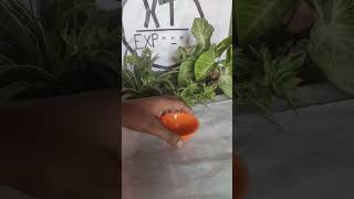 Normal Water And Shampoo Experiment Video||Easy Trick Of Shampoo||#experiment #shorts #trending