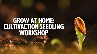 Grow at Home: CultivAction Seedling Workshop