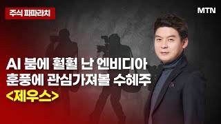 [김민수의 주식파파라치] AI 붐에 훨훨 난 엔비디아 훈풍에 관심가져볼 수혜주 '제우스'  / 머니투데이방송 (증시, 증권)