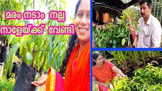 വീട്ടുമുറ്റത്ത് വളർത്താവുന്ന ഫലവൃക്ഷങ്ങൾ Fruit Farming Kerala Krishi Lokam