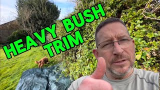 “TRIMMING SOME BUSH”