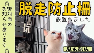 No more popping! A pet gate has been installed ☆ There is a notice of two cats 087