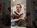 HIS CAT vs. MY CAT