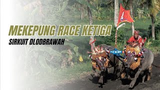 Mekepung Race Ketiga Sirkuit Delod Berawah 9 Juli 2023