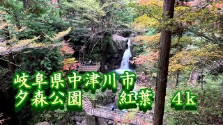 夕森公園　紅葉　岐阜県中津川市　2024-11-12