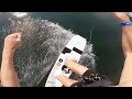 insane pov wakeboarding. *4k*