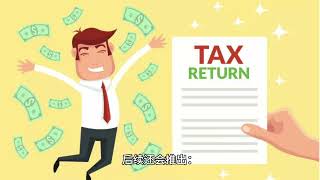 在美国开公司，容易被IRS审计的9大原因  The most 9 reason of IRS Audit for Business Owner in USA