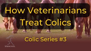 How Veterinarians Treat Colic Horses: Colic Series #3