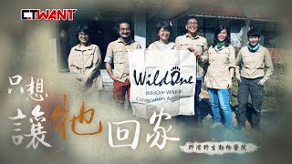 CTWANT 暖流人間 》山羌遭斷喉震撼正妹獸醫　成立東部野生動物醫院與天搶命