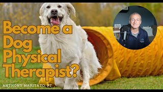 How to Become a Dog Physical Therapist