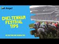 Betfair Trading | Cheltenham Festival tips