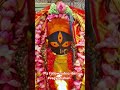 kalighat maa kali ajka dorshon kalighat temple youtube live exclusive vagyodishari music shorts