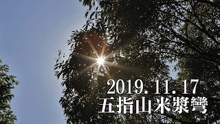 【光之劍】2019.11.17五指山米漿彎動態錄影(上午班)