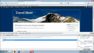 PHP Drupal implementation - Default Theme for your Website