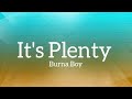 It's Plenty (lyrics) - Burna Boy