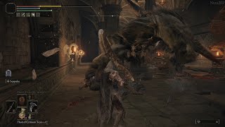 Elden Ring | Gurranq, Beast Clergyman Fight (Calming Him Down)