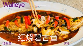 红烧碧古鱼 家常做法 How to Cook Walleye