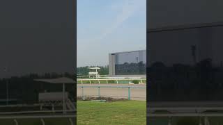 京都競馬場で最終レース後の馬場解放で芝コースを歩いてみた毎年恒例の芝コースから目黒記念観戦