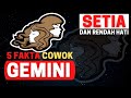 Kamu Cowok GEMINI? Kamu Harus Tau!! 5 Fakta Cowok GEMINI