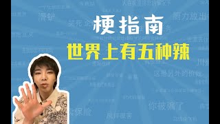 世界上有五种辣是什么梗【梗指南】