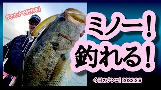 【今日のナンコ！2023.3.9】ミノー！釣れる！【琵琶湖バス釣り】