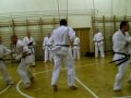 kyokushin seibukai vizsga 3