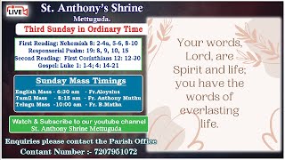 Fr Anthony Muthu /St.Anthony Shrine/Mettuguda/Tamil Mass 8.15 am Live Streaming/26th January 2025