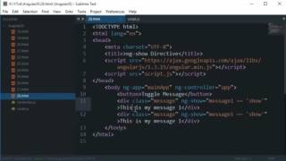 AngularJS Tutorial 28 ngShow Directive