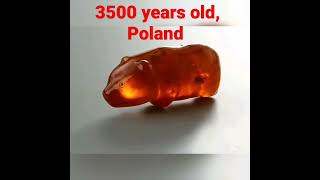 The amber bear amulet, 3500 years old, Poland. #healthtipsmemesandmotivation source internet #viral