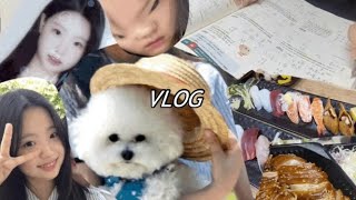 내년에 곧 성인인 고삼VLOG | 민증받았다..나 곧 성인..? | 강아지랑 같이 졸업사진? | 고등학생 브이로그