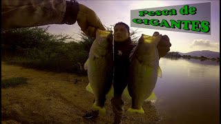 Catching monster Fish| Probando un señuelo hecho por mi