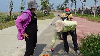 4k视频实拍中国广西北海市海边挖螺后的快乐    4k video real shot of happiness after digging snails on the seaside